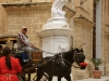 aimg_2779-mdina-horse