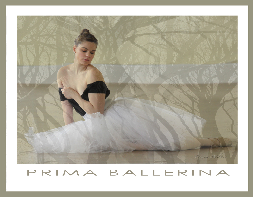 prima-ballerina-13-5x10-5