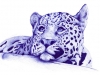 alanna-leopard