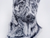 fb MYKA sketch