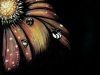 flowerimg_2880
