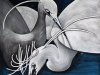 snowy-egrets
