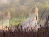 Whispering Wind