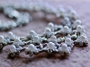 jewel7877